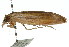  ( - 11ANIC-00627)  @13 [ ] CreativeCommons - Attribution (2011) ANIC/CBG Photography Group Centre for Biodiversity Genomics
