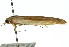  ( - 11ANIC-00628)  @13 [ ] CreativeCommons - Attribution (2011) ANIC/CBG Photography Group Centre for Biodiversity Genomics