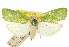  ( - 11ANIC-00637)  @11 [ ] CreativeCommons - Attribution (2011) ANIC/CBG Photography Group Centre for Biodiversity Genomics