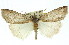  ( - 11ANIC-01071)  @11 [ ] CreativeCommons - Attribution (2011) ANIC/CBG Photography Group Centre for Biodiversity Genomics