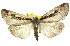  ( - 11ANIC-01083)  @14 [ ] CreativeCommons - Attribution (2011) ANIC/CBG Photography Group Centre for Biodiversity Genomics