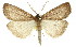  ( - 11ANIC-01136)  @14 [ ] CreativeCommons - Attribution (2011) ANIC/CBG Photography Group Centre for Biodiversity Genomics