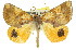  ( - 11ANIC-00877)  @11 [ ] CreativeCommons - Attribution (2011) ANIC/CBG Photography Group Centre for Biodiversity Genomics