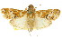  ( - 11ANIC-01211)  @11 [ ] CreativeCommons - Attribution (2011) ANIC/CBG Photography Group Centre for Biodiversity Genomics