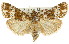  ( - 11ANIC-01212)  @11 [ ] CreativeCommons - Attribution (2011) ANIC/CBG Photography Group Centre for Biodiversity Genomics