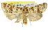  ( - 11ANIC-01216)  @15 [ ] CreativeCommons - Attribution (2011) ANIC/CBG Photography Group Centre for Biodiversity Genomics