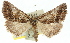  ( - 11ANIC-01571)  @11 [ ] CreativeCommons - Attribution (2011) ANIC/CBG Photography Group Centre for Biodiversity Genomics