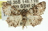  ( - 11ANIC-01632)  @14 [ ] CreativeCommons - Attribution (2011) ANIC/CBG Photography Group Centre for Biodiversity Genomics