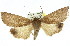  ( - 11ANIC-01697)  @11 [ ] CreativeCommons - Attribution (2011) ANIC/CBG Photography Group Centre for Biodiversity Genomics