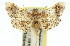  (Arescoptera sp. ANIC2 - 11ANIC-01762)  @11 [ ] CreativeCommons - Attribution (2011) ANIC/CBG Photography Group Centre for Biodiversity Genomics