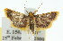  ( - 11ANIC-01785)  @14 [ ] CreativeCommons - Attribution (2011) ANIC/CBG Photography Group Centre for Biodiversity Genomics