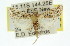 ( - 11ANIC-01809)  @13 [ ] CreativeCommons - Attribution (2011) ANIC/CBG Photography Group Centre for Biodiversity Genomics