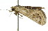  ( - 11ANIC-01811)  @12 [ ] CreativeCommons - Attribution (2011) ANIC/CBG Photography Group Centre for Biodiversity Genomics