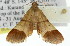  ( - 11ANIC-01827)  @13 [ ] CreativeCommons - Attribution (2011) ANIC/CBG Photography Group Centre for Biodiversity Genomics