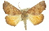  ( - 11ANIC-01953)  @15 [ ] CreativeCommons - Attribution (2011) ANIC/CBG Photography Group Centre for Biodiversity Genomics