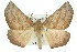  ( - 11ANIC-01963)  @11 [ ] CreativeCommons - Attribution (2011) ANIC/CBG Photography Group Centre for Biodiversity Genomics