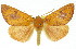  ( - 11ANIC-01989)  @15 [ ] CreativeCommons - Attribution (2011) ANIC/CBG Photography Group Centre for Biodiversity Genomics