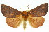  ( - 11ANIC-01990)  @14 [ ] CreativeCommons - Attribution (2011) ANIC/CBG Photography Group Centre for Biodiversity Genomics