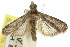  ( - 11ANIC-02066)  @13 [ ] CreativeCommons - Attribution (2011) ANIC/CBG Photography Group Centre for Biodiversity Genomics