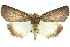  ( - 11ANIC-02097)  @14 [ ] CreativeCommons - Attribution (2011) ANIC/CBG Photography Group Centre for Biodiversity Genomics