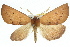  ( - 11ANIC-02108)  @14 [ ] CreativeCommons - Attribution (2011) ANIC/CBG Photography Group Centre for Biodiversity Genomics