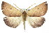  ( - 11ANIC-02111)  @14 [ ] CreativeCommons - Attribution (2011) ANIC/CBG Photography Group Centre for Biodiversity Genomics