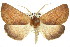  ( - 11ANIC-02120)  @11 [ ] CreativeCommons - Attribution (2011) ANIC/CBG Photography Group Centre for Biodiversity Genomics