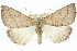  ( - 11ANIC-02134)  @14 [ ] CreativeCommons - Attribution (2011) ANIC/CBG Photography Group Centre for Biodiversity Genomics