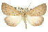  ( - 11ANIC-02135)  @11 [ ] CreativeCommons - Attribution (2011) ANIC/CBG Photography Group Centre for Biodiversity Genomics