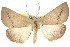  ( - 11ANIC-02136)  @14 [ ] CreativeCommons - Attribution (2011) ANIC/CBG Photography Group Centre for Biodiversity Genomics
