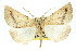  ( - 11ANIC-02137)  @13 [ ] CreativeCommons - Attribution (2011) ANIC/CBG Photography Group Centre for Biodiversity Genomics