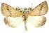  ( - 11ANIC-02138)  @15 [ ] CreativeCommons - Attribution (2011) ANIC/CBG Photography Group Centre for Biodiversity Genomics