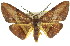  ( - 11ANIC-02206)  @14 [ ] CreativeCommons - Attribution (2011) ANIC/CBG Photography Group Centre for Biodiversity Genomics