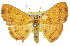  ( - 11ANIC-02234)  @11 [ ] CreativeCommons - Attribution (2011) ANIC/CBG Photography Group Centre for Biodiversity Genomics