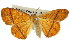  ( - 11ANIC-02236)  @11 [ ] CreativeCommons - Attribution (2011) ANIC/CBG Photography Group Centre for Biodiversity Genomics