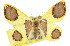  (Plutodes - 11ANIC-02264)  @15 [ ] CreativeCommons - Attribution (2011) ANIC/CBG Photography Group Centre for Biodiversity Genomics