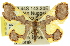  ( - 11ANIC-02268)  @11 [ ] CreativeCommons - Attribution (2011) ANIC/CBG Photography Group Centre for Biodiversity Genomics