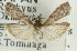  ( - 11ANIC-02327)  @12 [ ] CreativeCommons - Attribution (2011) ANIC/CBG Photography Group Centre for Biodiversity Genomics