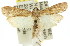  ( - 11ANIC-02342)  @14 [ ] CreativeCommons - Attribution (2011) ANIC/CBG Photography Group Centre for Biodiversity Genomics