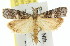  ( - 11ANIC-02351)  @14 [ ] CreativeCommons - Attribution (2011) ANIC/CBG Photography Group Centre for Biodiversity Genomics