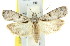 ( - 11ANIC-02359)  @14 [ ] CreativeCommons - Attribution (2011) ANIC/CBG Photography Group Centre for Biodiversity Genomics