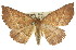  ( - 11ANIC-02378)  @11 [ ] CreativeCommons - Attribution (2011) ANIC/CBG Photography Group Centre for Biodiversity Genomics