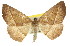  ( - 11ANIC-02379)  @11 [ ] CreativeCommons - Attribution (2011) ANIC/CBG Photography Group Centre for Biodiversity Genomics