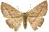  ( - 11ANIC-02386)  @14 [ ] CreativeCommons - Attribution (2011) ANIC/CBG Photography Group Centre for Biodiversity Genomics