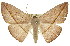  ( - 11ANIC-02388)  @14 [ ] CreativeCommons - Attribution (2011) ANIC/CBG Photography Group Centre for Biodiversity Genomics