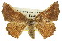  ( - 11ANIC-02399)  @13 [ ] CreativeCommons - Attribution (2011) ANIC/CBG Photography Group Centre for Biodiversity Genomics