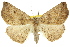  ( - 11ANIC-02406)  @11 [ ] CreativeCommons - Attribution (2011) ANIC/CBG Photography Group Centre for Biodiversity Genomics
