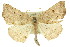  ( - 11ANIC-02407)  @11 [ ] CreativeCommons - Attribution (2011) ANIC/CBG Photography Group Centre for Biodiversity Genomics