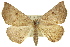  ( - 11ANIC-02408)  @11 [ ] CreativeCommons - Attribution (2011) ANIC/CBG Photography Group Centre for Biodiversity Genomics