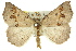 ( - 11ANIC-02414)  @11 [ ] CreativeCommons - Attribution (2011) ANIC/CBG Photography Group Centre for Biodiversity Genomics